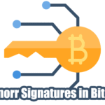 Schnorr Signatures in Bitcoin cover is made by Cryptoforold and using image from lapiyee Freepik
